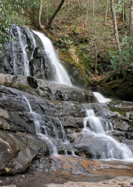 Laurel Falls in the Smoky Mountains NP — Stock Photo, Image