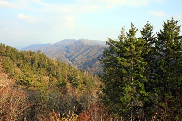 Parque Nacional Smoky Mountain — Fotografia de Stock