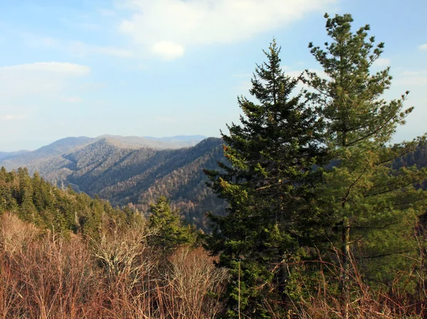 Smoky Mountain Національний парк — стокове фото