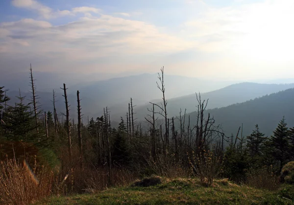 Smoky Mountain Національний парк — стокове фото