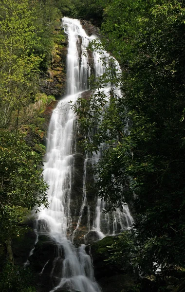 Mingo Falls in the Smoky Mountains NP — Stock Photo, Image