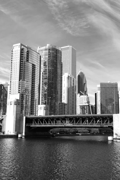 De skyline van chicago — Stockfoto