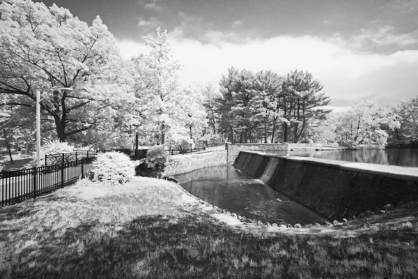 Het infrarood dromerige landschap — Stockfoto