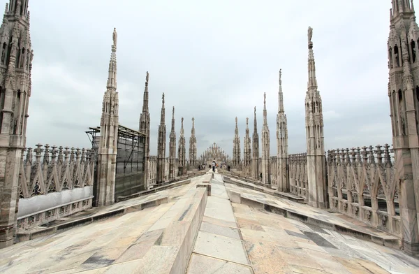 Duomo çatı görüntüden — Stok fotoğraf