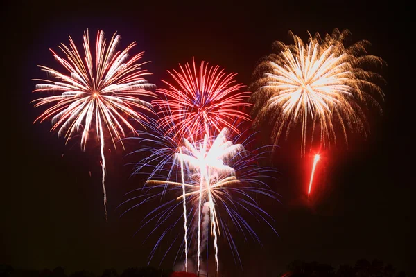 Los fuegos artificiales del 4 de julio — Foto de Stock