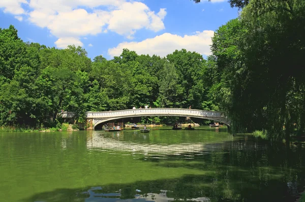 Het central park — Stockfoto