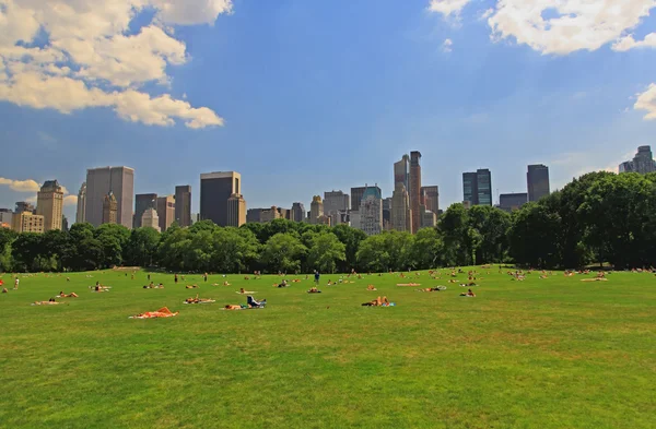 O grande gramado no Central Park — Fotografia de Stock