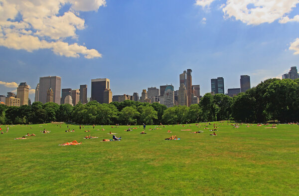 The Great Lawn in Central Park New York City