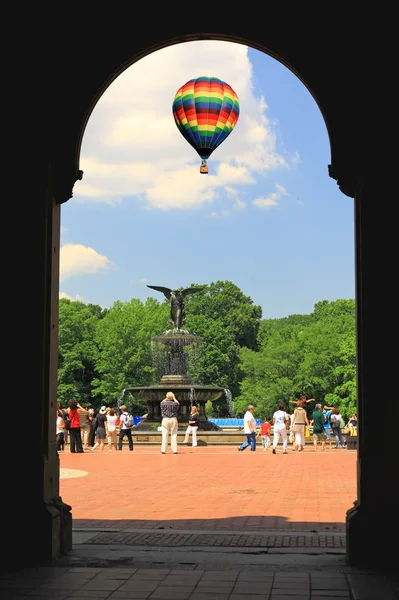 Het central park — Stockfoto