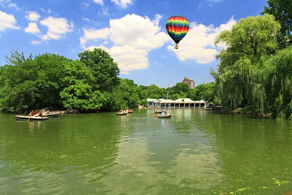 Het central park — Stockfoto