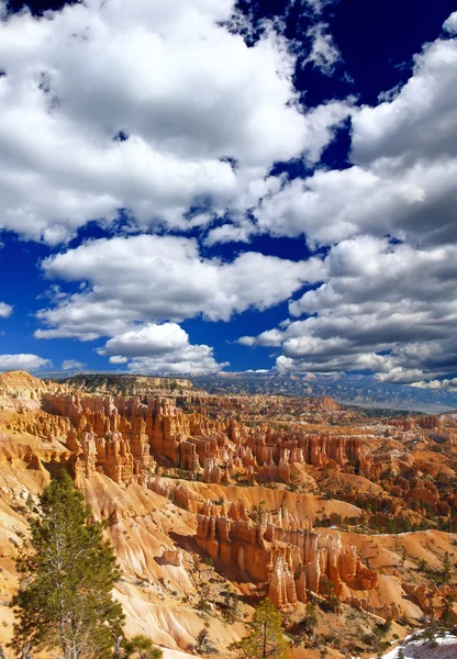 Národní park bryce canyon — Stock fotografie