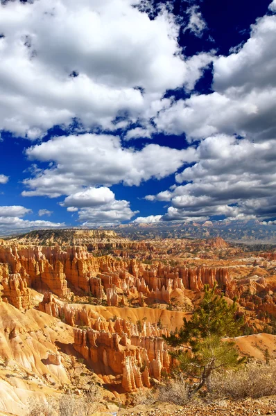 The Bryce Canyon National Park — Stock Photo, Image