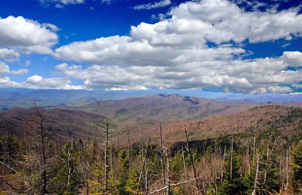 Parque Nacional Smoky Mountain — Fotografia de Stock