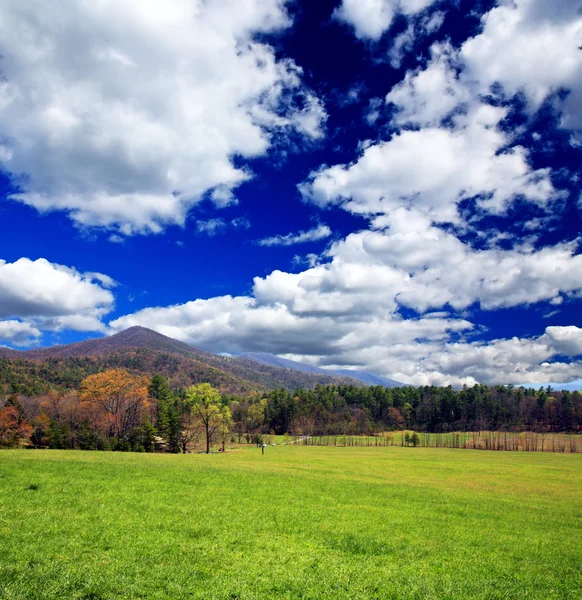 Nationaalpark rokerige mountain — Stockfoto