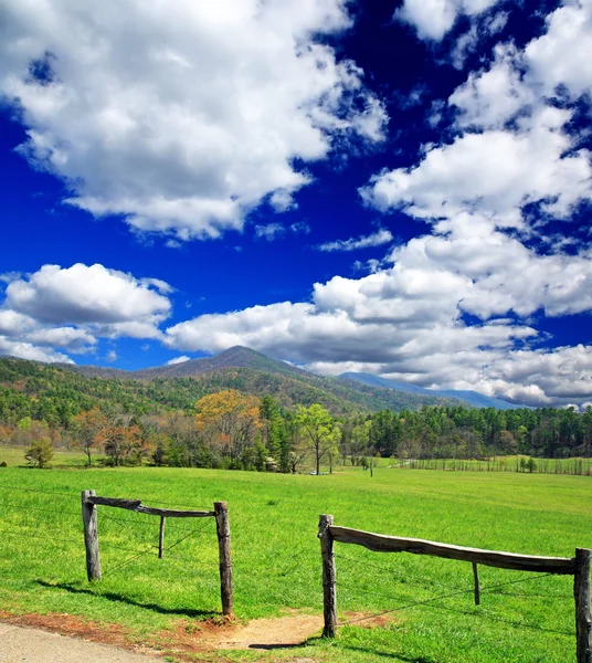 Smoky Mountain National Park — Zdjęcie stockowe