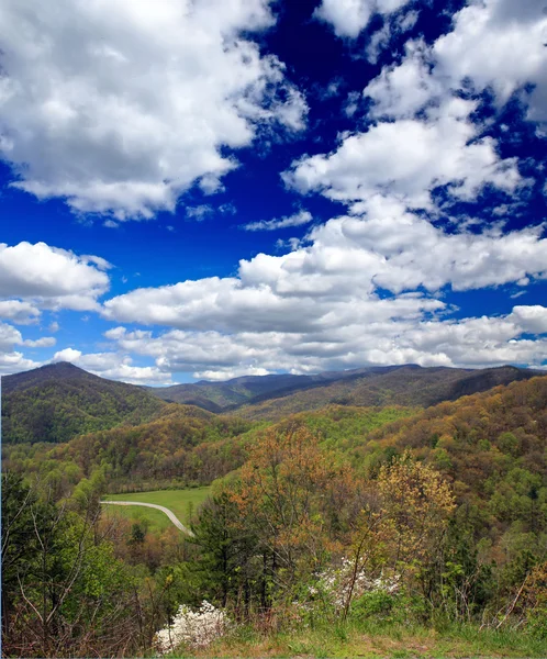 Parc national Smoky Mountain — Photo