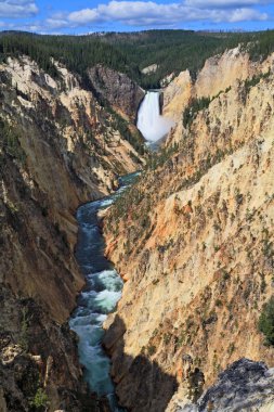 yellowstone Büyük Kanyon