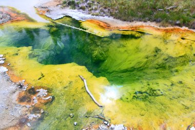 Yellowstone Batı başparmak Şofben Havzası