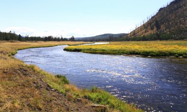 yellowstone Millî Parkı toplayan