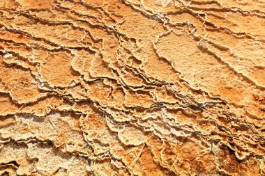 yellowstone mamut kaplıca alanında