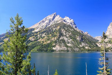 grand teton jenny göle