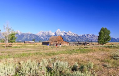 grand teton ahırda Moulton