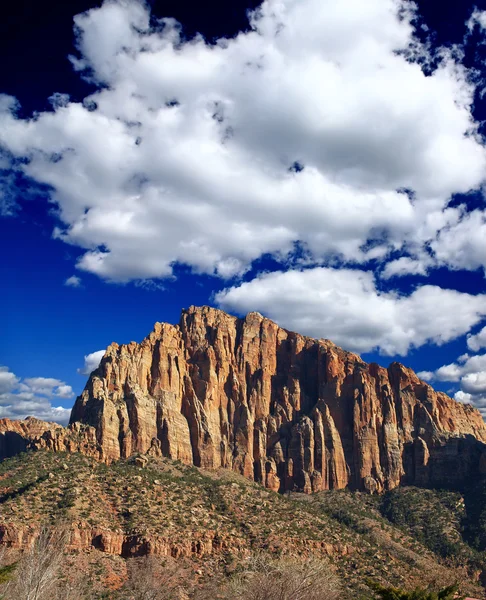 The Zion National Park — Stock Photo, Image