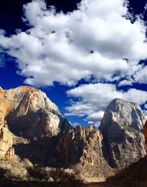 The Zion National Park — Stock Photo, Image