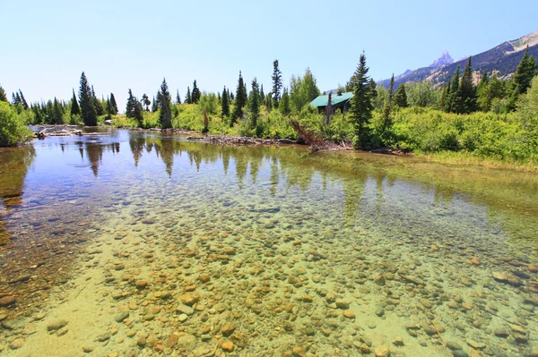 En flod nära jenny lake i grand teton national park — Stockfoto