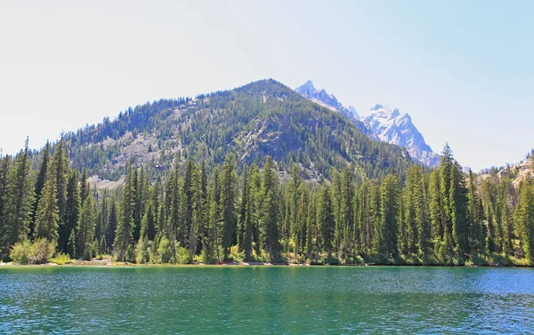 O Lago Jenny no Parque Nacional Grand Teton — Fotografia de Stock