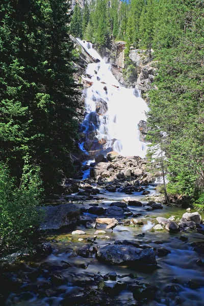Скрытые водопады в национальном парке Гранд-Титон — стоковое фото