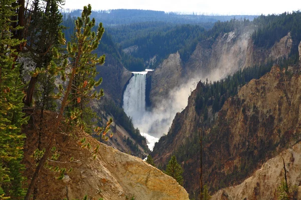 El Gran Cañón de Yellowstone — Foto de Stock