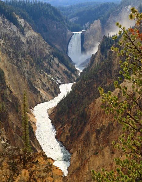 Spodní vodopády v grand canyon of yellowstone — Stock fotografie