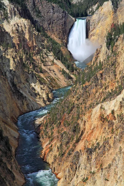 Yellowstonen Grand Canyon — kuvapankkivalokuva