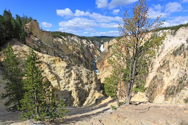 Grand canyon i yellowstone — Stockfoto