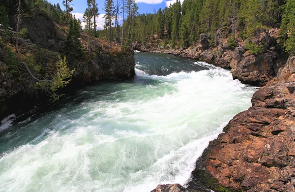 Yellowstone river poblíž horní falls — Stock fotografie