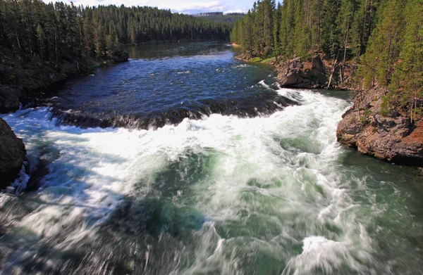 El río Yellowstone cerca de Upper Falls —  Fotos de Stock