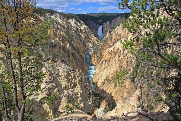 Yellowstonen Grand Canyon — kuvapankkivalokuva