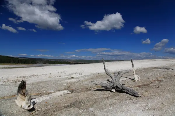 Le paysage du bassin inférieur du Geyser à Yellowstone — Photo