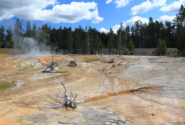 The scenery of Lower Geyser Basin in Yellowstone — Stock Photo, Image