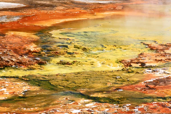 Midway Geyser Basin in Yellowstone — Stock Photo, Image