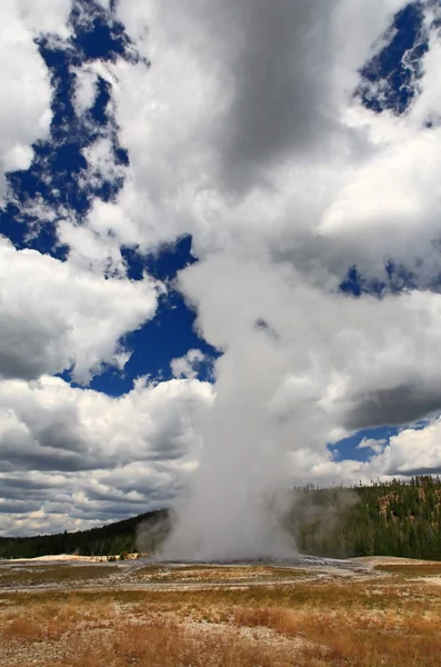 The Old Faithful Geyser in Yellowstone — Stock Photo, Image