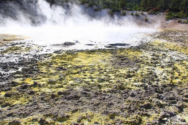 Mud Volcano area in Yellowstone — Stock Photo, Image