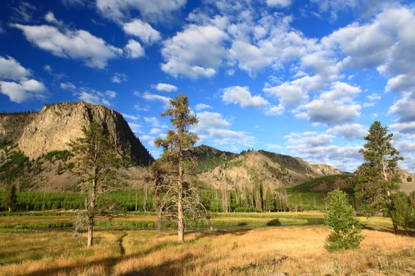 Die Landschaft des Yellowstone Nationalparks — Stockfoto