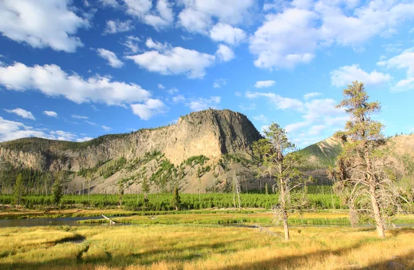 A paisagem do Parque Nacional de Yellowstone — Fotografia de Stock