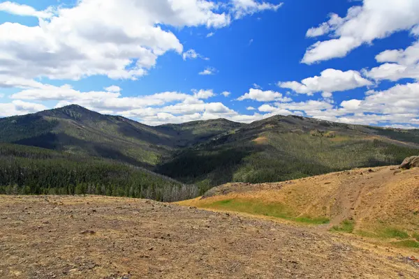 Het landschap van het nationaal park yellowstone — Stockfoto