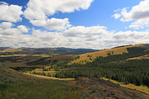 Het landschap van het nationaal park yellowstone — Stockfoto