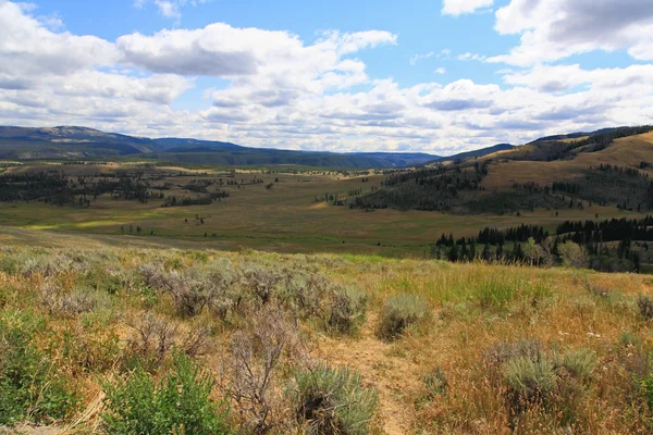Landskapet i yellowstone nationalpark — Stockfoto