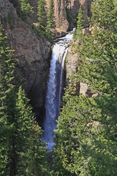 La Torre cae en el Parque Nacional de Yellowstone —  Fotos de Stock