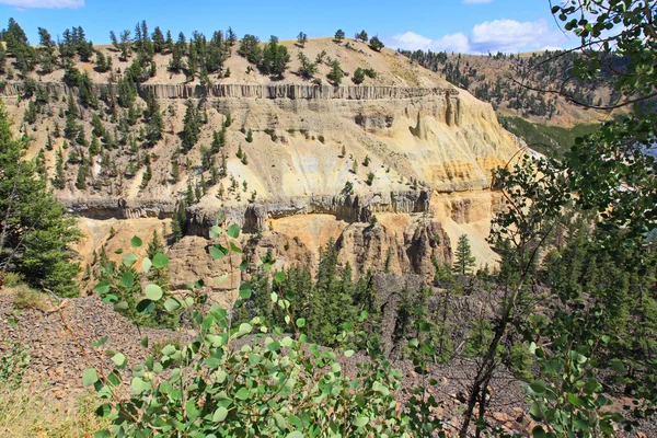 Rzeki yellowstone w yellowstone np — Zdjęcie stockowe